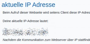 Preview eigene öffentliche IP anzeigen - was ist meine IP-Adresse?