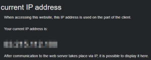 Preview show own public IP - what is my IP address?
