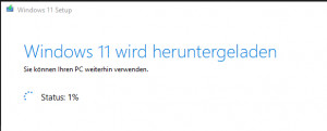 Preview Windows 10 / 11 - Download Installation - DVD oder USB Boot