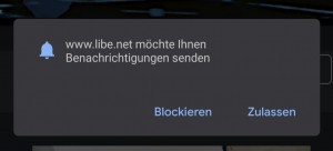 Preview WebPush: Eine Seite möchte Ihnen Benachrichtigungen senden