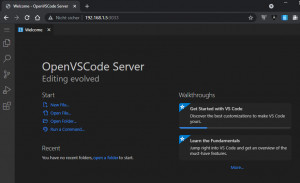 Preview VS-Code im Browser - getestet