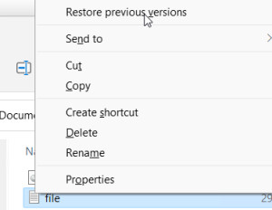 Preview Windows 10/11 - File Versions Backup: File Version History