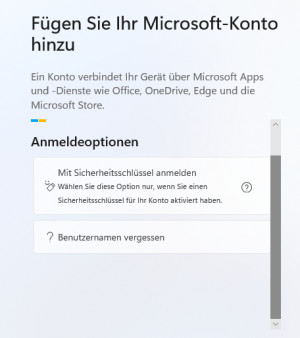 Preview Windows 11 (10) ohne Microsoft Konto : lokal - Offline Konto