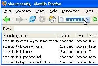 Preview Browserkennung ändern Firefox